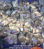 먹물조황 글만 보기 사진