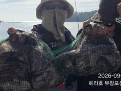 먹물조황 글만 보기 사진