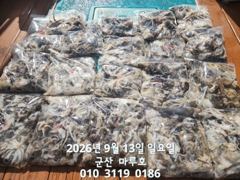 9월 13일 쭈꾸미 최종조항~☆ 사진