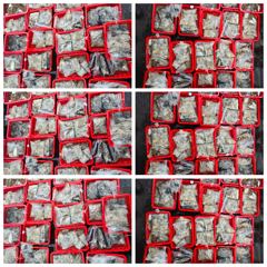 13일 쭈꾸미 조황 입니다 사진