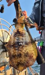 팁런무늬조황!!내일부터 쭉 예약가능 사진