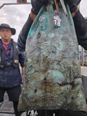 먹물 글만 보기 사진
