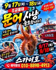 ●9월17~18일《문어 황금 물때》출조 모집~~가을 문어 최고~ 사진