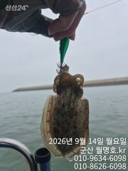 14일 오전반 조황 사진