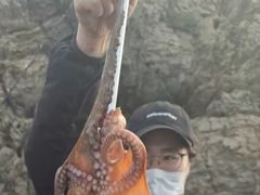 9/14 군산나래호(킹덤) 주간문어 실시간입니다 내일 자리 여유있습니다 사진