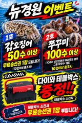 갑오징어 쭈꾸미 마릿수 이벤트 시작 내일 출조확정입니다 자리여유 사진