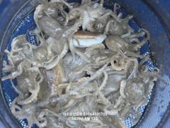 260913 여수조꾸미조황 사진