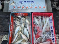 전갱이 ㆍ떡전어 사진