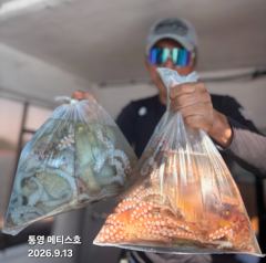 통영] 문어 사량도 굴어장 조황 13일(일) 통영 메티스호 사진