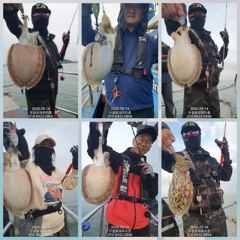 [무창포아파치호] 9월14일(월), 사릿물때, 쭈꾸미, 갑오징어들로 빵빵한 조황이네요~ㅎ 예약 문의는 선장 직통(010-8422-0866)으로 전화주세요~ 사진