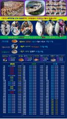[공지} 9월16일 붉바리 출항합니다 사진