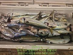 이 조황 보고 그냥 지나칠 수 있나요?!｜고흥 녹동 갈치 낚시 조황 ｜고흥녹동사랑호 사진