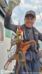 14일 야간 돌 문어 조황 입니다 사진