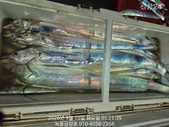 [고흥,녹동] 녹동금강호16석 먼바다 1인2쿨러왕갈치만쿨조항 오늘자리여유있읍니… 사진