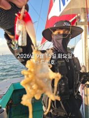 15일, 군산쭈꾸미~ 싸이즈도 점점~물때 상관없이 나오네요~실시간~~군산낚시프라자 나드리호 사진