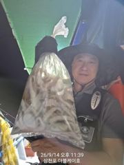 [먹물조황]삼천포문어조황!주간반,야간반매일출조! 사진