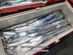 [통영] (왕갈치)먼바다 외줄 도끼입질~4지3지 쭉쭉 동양호(16일 예약… 사진