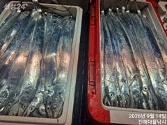 우와~내만칼치3지까지 어마어마하게 역대급 퍼담고 초대박,오늘예약가능~ 사진