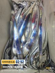 [진해] 갈치대박터지는중! 수요일부터 내만갈치 예약가능! 전화주세요~ 사진