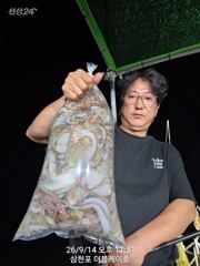 삼천포 문어조황! 주간반, 야간반 매일출조! 사진