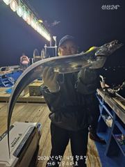 15일 입항 갈치 조황입니다.. 싸이즈 굿! 마릿수 굿! 사진