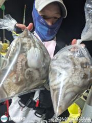 화요일 문어 망태기 조과~ 사진