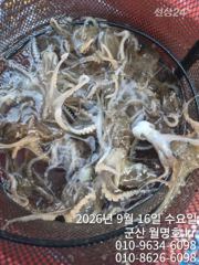[군산] 16일 오전반 실시간 사진