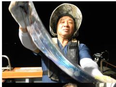 [여수,광양] 9/16 여수대박호 백도권 씨알좋은갈치들로 굿~ 마릿수 조황입니… 사진