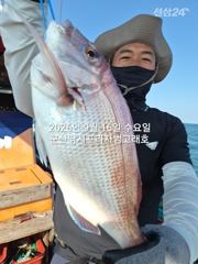 9월16일,"대광어"~어제 초대박 오늘도 굿~참돔까정~~내일도 갑니다~ 군산낚시프라자 범고래호 사진