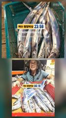 [여수,광양] 여수 청양피싱 9월16일 입항조황입니다. 사진