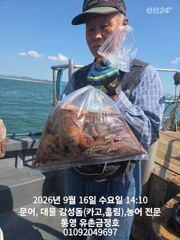 통영 금정호 오전문어선상 마릿수손맛 좋습니다!! 내일과 주말 자리여유있습니다 사진