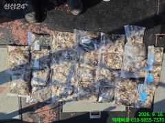 [군산] 17일 12분 쭈꾸미 굿조황 낼 1자리 여유자리 사진