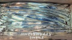 내만갈치 바글바글!! 텐빈,루어에 손맛 찐~하게 보고!!(토,일 예약가능) 사진