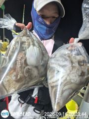 [사천] 내일부터 야간문어 출동합니다 사진