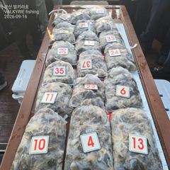 <발키리호> 쭈꾸미 오후 마무리 조황(16일)-함께해주신 조사님들 수고하셨습니다 사진