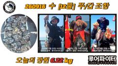 9/16 수 [12물] 쭈꾸미/갑오징어 조항 입니다. 사진