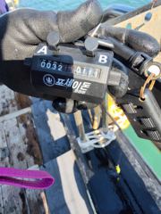 9월 16일 쭈 조황 사진