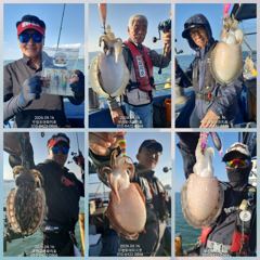 [무창포아파치호] 9월16일(수), 사릿 물때에도 장원 200수 육박, 갑오징어와 쭈꾸미들로 빵빵한 조황~ 추석 당일(25일,금)도 3자리여유~ 예약문의는 010-8422-0866~ 사진