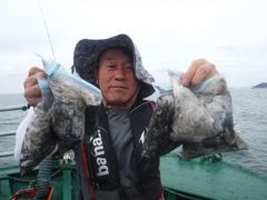 2026년 9월 17 ^굿 굿 굿^ 쭈꾸미 조황 사진