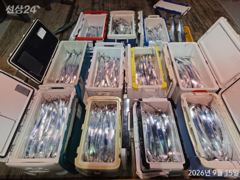 [진해] 내만갈치 손맛입맛 오늘오후 6시출항 목.금.토.일 예약가능 사진