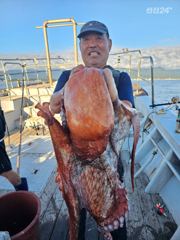 강원고성 22인승 청룡호 오늘도 대왕문어가 반겨주네요. 꽝없는 이벤트 지속중 사진