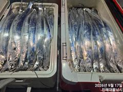 우와~17일새벽,내만칼치 담배값사이즈까지 쿨러터지게 초초대박~예악가능 사진