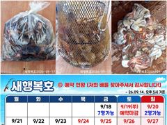 [사천] [새행복호] 손님 없어 선장님만 나가 잡은 3시간 조황 사진