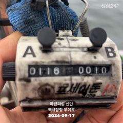 [서산,태안] 26.09.17 백사장항 무야호 갑오징어 조황^^ 사진
