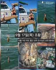 [피닉스피싱호] 9월 17일(목) 체험낚시 조황 - 13물 거친 파도 뚫고 꼬마 조사님도 손맛 봤네요 사진