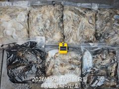 [홍원항타이탄호] 9월17일(목) 쭈꾸미.갑오징어 조황입니다. 사진