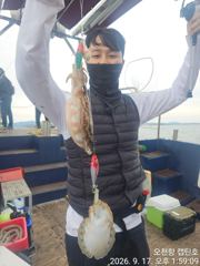 9월 17일 쭈꾸미/갑오징어 조황입니다. 사진