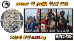 쭈.갑 먹물조황+ - 무창포_킹피싱_킹피쉬호_9월_17일_쭈갑_조황_입니다_26일부터_갑오징어_출조_23일_27일_자리_남아있습니다. 사진