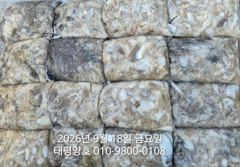 ★★ 9 / 18 [군산 대일피싱] 태평양호 쭈꾸미 망태기 초보자 11분 대박조황 사진