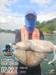 [사천] 오늘 삼천포 돌문어 망탱기 빵빵 합니다~~^^(일욜 자리여유) 사진